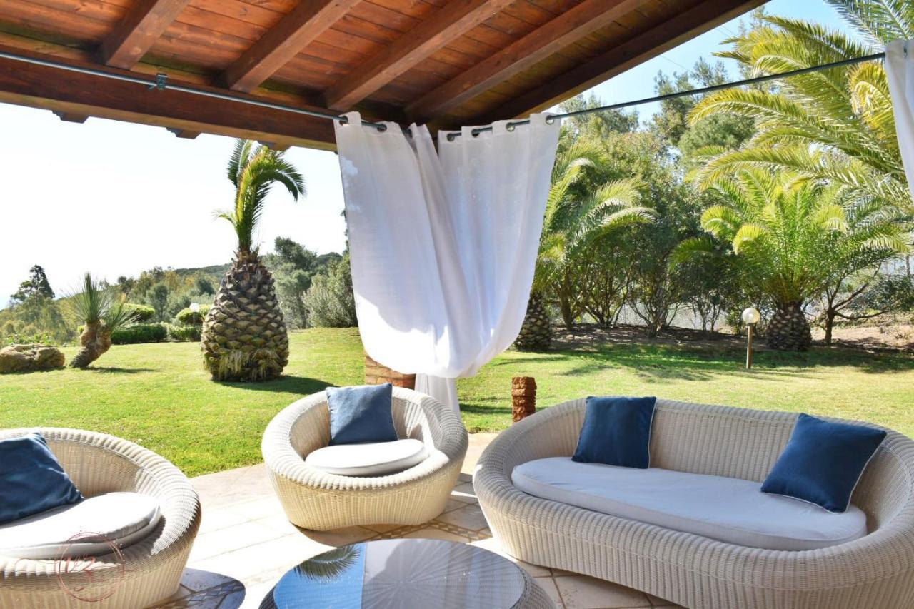 Villa Palmetto フォート・ビレッジ エクステリア 写真
